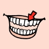 teeth.jpg