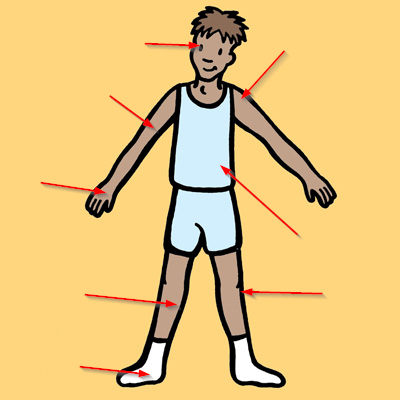  bodyarrows 