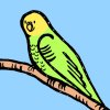 bird.jpg