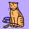 cat.jpg