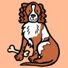 dog.jpg