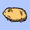 hamster.jpg