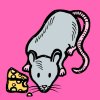 mouse.jpg