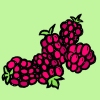 raspberries.jpg